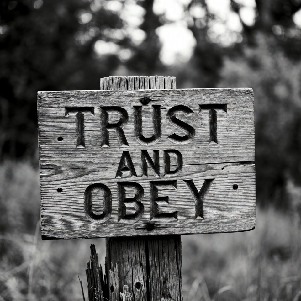 Trust and Obey